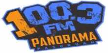 Panorama 100.3 FM