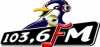 Logo for Pinguin FM Bali