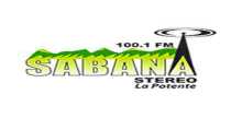 Sabana Stereo 100.1 ФМ