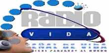 Radio Vida FM