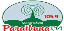 Paraibuna FM 105.9