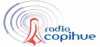 Logo for Radio Copihue