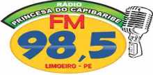 Radio Princesa do Capibaribe