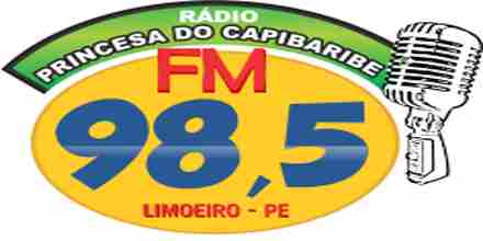 Radio Princesa do Capibaribe