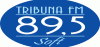 Logo for Radio Tribuna Soft 89.5
