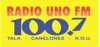 Logo for Radio Uno 100.7
