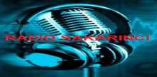 Radio Sakarinci