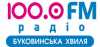 Logo for Buk Wave 100.0 FM