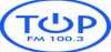 Logo for FM Top 100.3