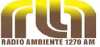 Logo for Radio Ambiente 1270 AM
