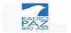 Logo for Radio Paz 810 AM