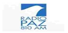 Radio Paz 810 UN M