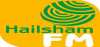Logo for Hailsham FM
