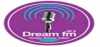 Logo for Dream FM 91.3