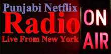 Punjabi Netflix Radio