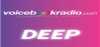 Logo for Voice Book Radio Deep