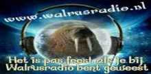 Walrus Radio