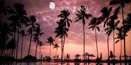 Palmera Blanca Radio Latino Stream
