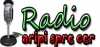 Logo for Radio Crestin Aripi Spre Cer International