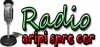 Logo for Radio Crestin Aripi Spre Cer Instrumental