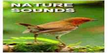 Chroma Radio Nature Sounds