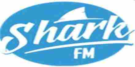 Radio Shark FM