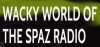 Logo for Wacky World of The Spaz