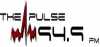 Logo for 94.9 FM The Pulse
