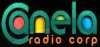 Logo for Radio Canela Azuay