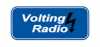 Logo for Volting Belgique