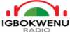Logo for Igbokwenu Radio