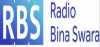 Logo for Radio Bina Swara