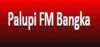 Logo for Radio Palupi Bangka