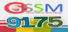 Logo for GSSM 91.75