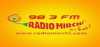 Logo for Radio Mirchi Lucknow