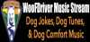 Logo for The WooFDrivers Stream