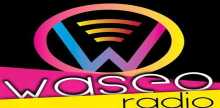 WASEO Radio