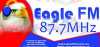 Logo for Eagle 87.7 FM