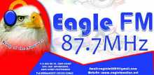 Eagle 87.7 FM