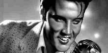 Elvis et compagnie