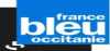 Logo for France Bleu Occitanie
