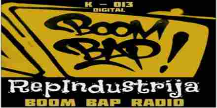 REP INDUSTRIJA RADIO