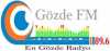Logo for Radyo Gozde FM