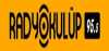 Logo for Radyo Kulup 95.5