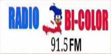 Radio Bicolor 91.5 FM
