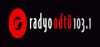 Logo for Radyo ODTU Indie