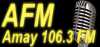 Logo for AFM Radio 106.3