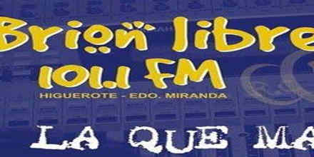 Brion Libre 101.1 FM