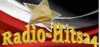 Logo for Radio Hits24