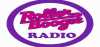 Logo for Roller Boogie Radio